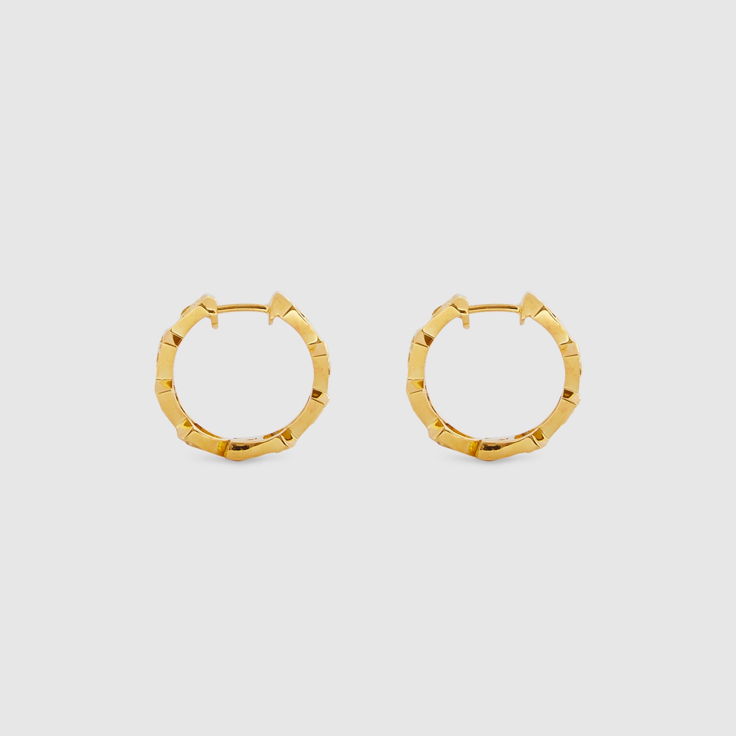 Echelle Hoop Earrings