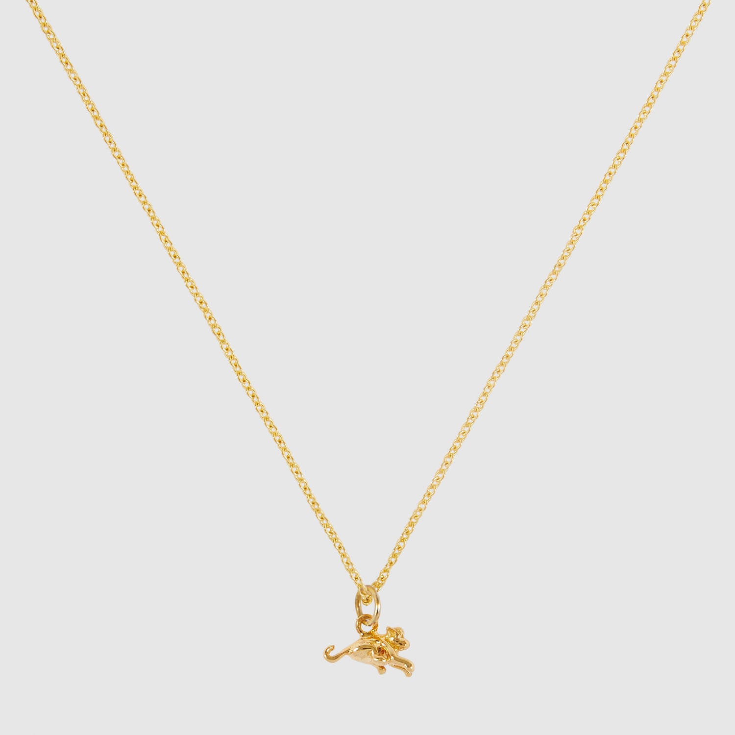 Tiny Monkey Necklace