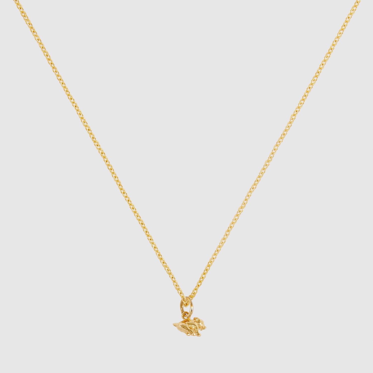 Tiny Pig Necklace