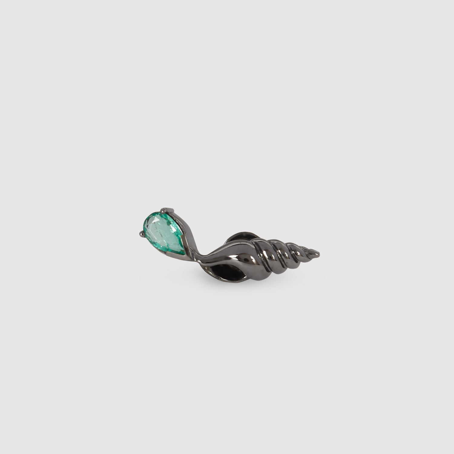 Charonia Shell Earring