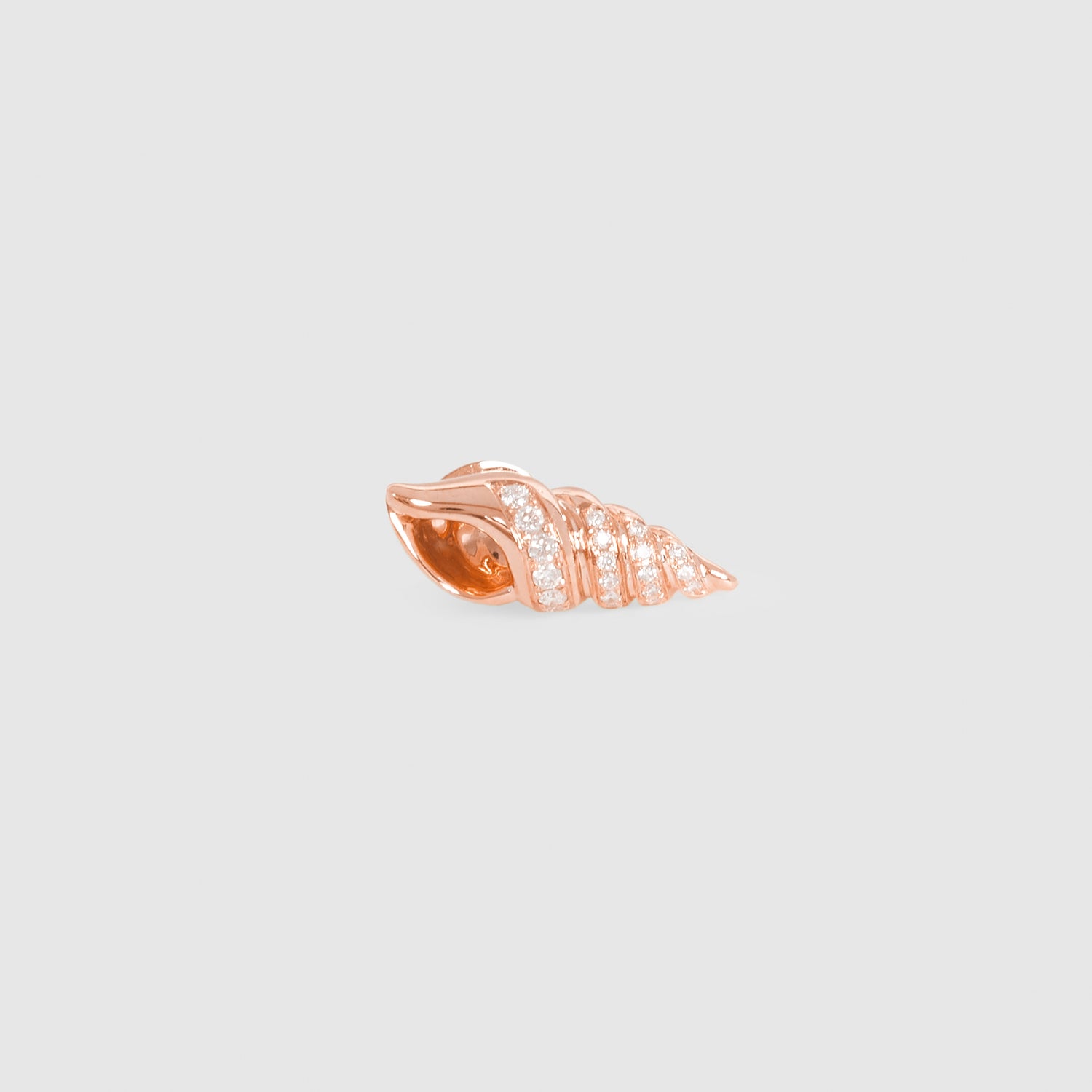 Singh Shell Earring
